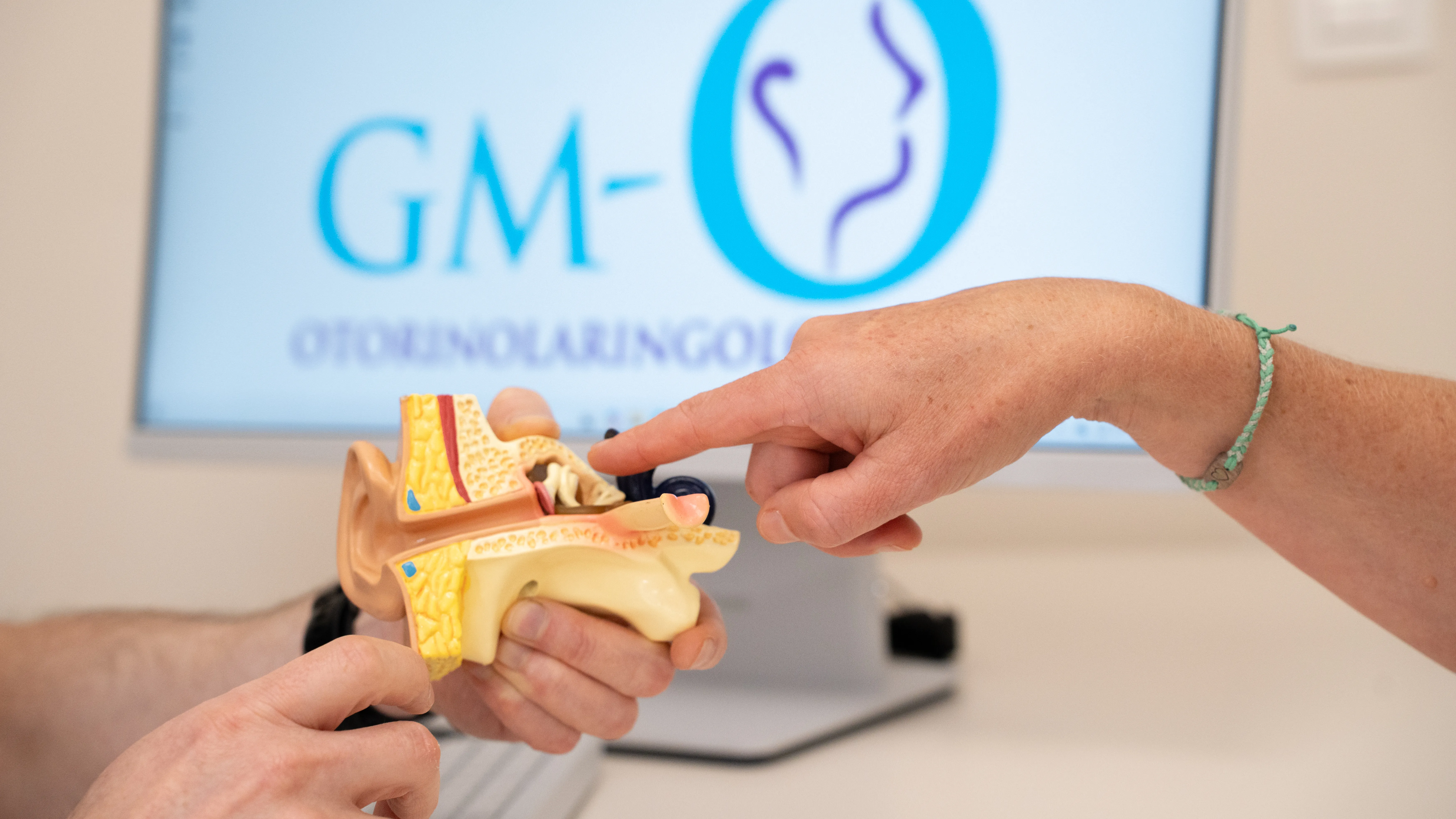 Anatomski model notranjega ušesa s polkrožnimi kanalčki — pojasnilo pri pregledu v GM-O